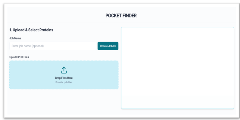 Upload PDB file section